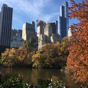 Meet your Posher, Bailey